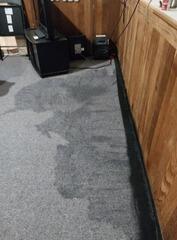 Damp Finished Basement in North Bonneville, WA