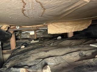 Water Signs in the Crawl Space - Estacada, OR