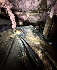 Cleaning the Crawl Space and Upgrading the System - Everett, WA