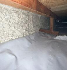 Rodents and Moisture in the Crawl Space- Camano Island, WA