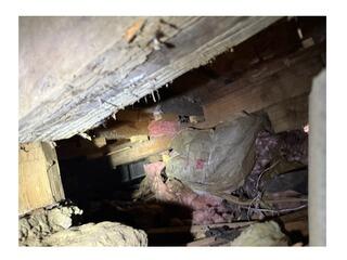 Addressing this Crawl Space Before Sale in Snohomish, WA