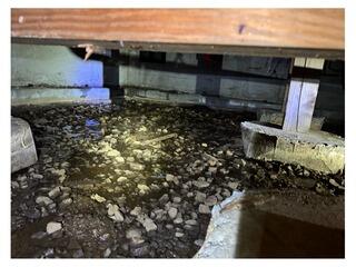 Crawl Space with no Protection in Depoe Bay, OR