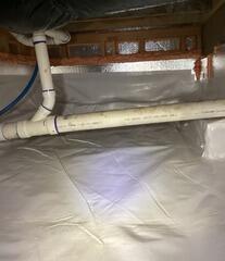 Crawl Space Transformation - Friday Harbor, WA