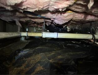 Crawl Space Transformation - Friday Harbor, WA