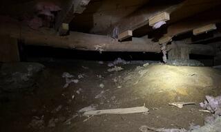 Replacement of Failing Main Subfloor Support Beam - Snohomish, WA