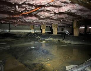 Lake Underneath Home - Veneta, OR