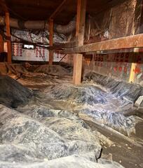 A Blanket of Crawl Space Mold - Lake Oswego, OR