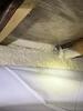Addressing Damaged Crawl Space- Government Camp, OR