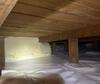 Transforming a Filthy Crawl Space in Siletz, OR