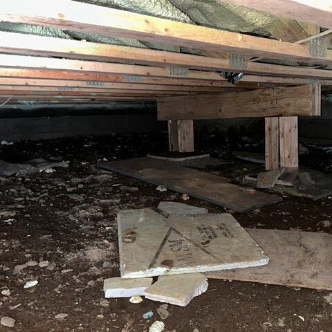 Moldy beams in Sainte-Sabine, QC