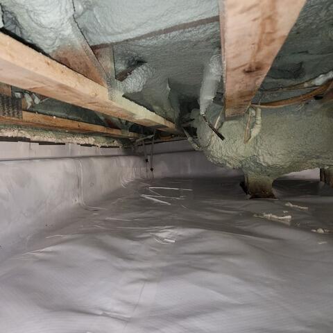 Moldy beams in Sainte-Sabine, QC