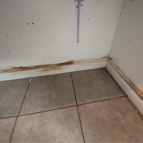 From a damp basement to a healthy living space in Baie-du-Febvre, Quebec - Before Photo