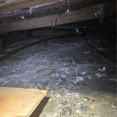 Fixing a crawl space in Dalhousie, QC