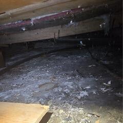 Vide sanitaire encapsulé à Dalhousie, QC