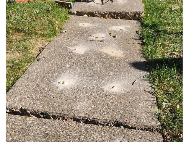 Sidewalk Leveling in Silvis, IL - Before Photo