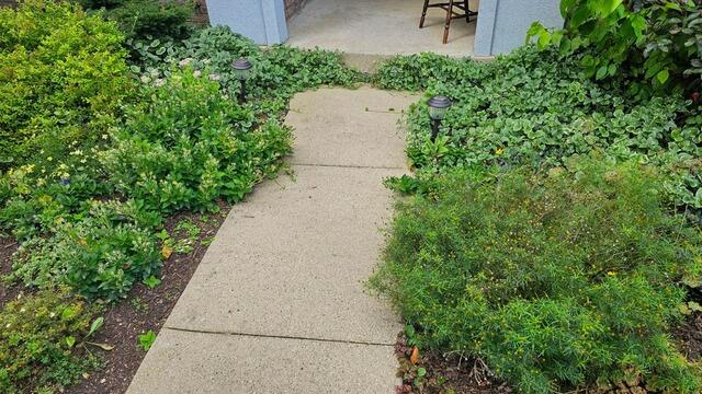 Asbury, IA Sidewalk Repair - Before Photo