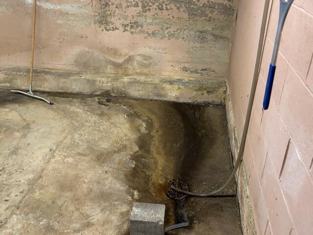 Rescued in Independence: Shawn, Jacob, and Crew Turn a Wet Basement Dry! - Before Photo