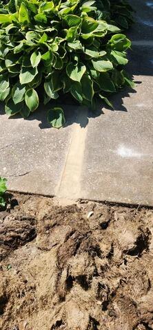 Precision PolyLevel Concrete Repair in Port Byron, IL - After Photo