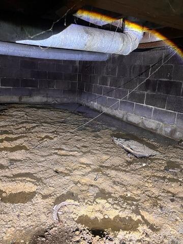 Creating a Clean and Healthy Crawl Space in Silvis, IL - Before Photo