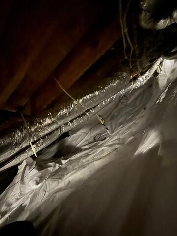 Mold Threat to Sterile Subgrade: Crawl Space Restoration in Sterling, IL - After Photo
