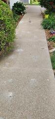 Sidewalk Leveled in Wilton, IA