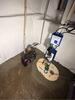 From Mystery Mold to Bone-Dry: A Winthrop Basement Transformation