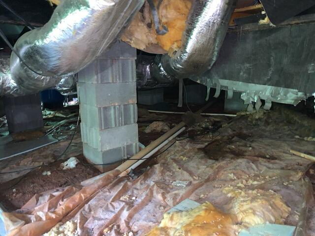 Protecting Customers Crawl Space with CleanSpace Vapor Barrier in Musella, GA - Before Photo