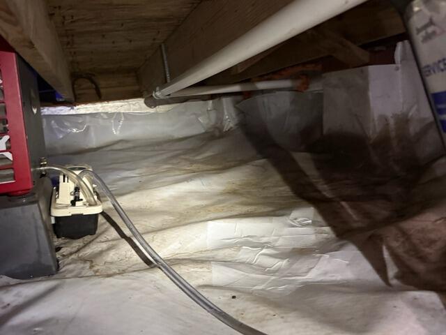 CleanSpace Cleaning in Savannah, GA