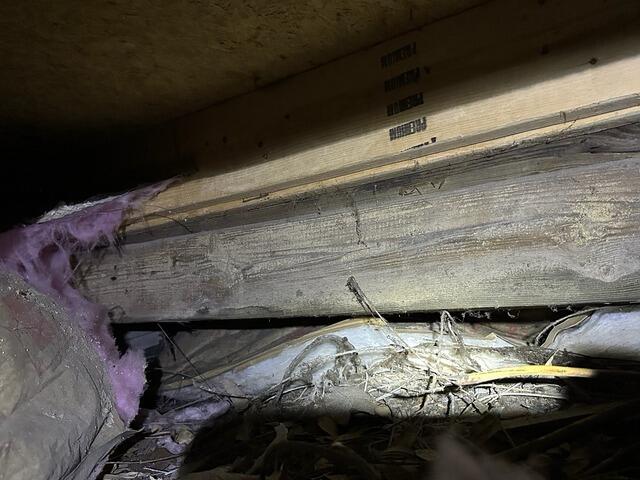 Structural Integrity Support System in Tybee Island, GA - Before Photo
