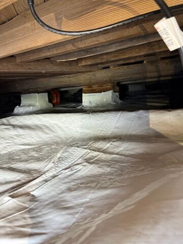 Crawlspace Transformation in Odum, GA