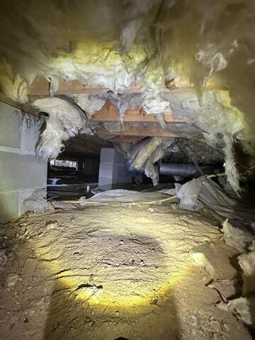 Crawlspace Encapsulation in Shelton, SC