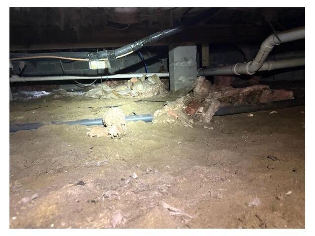 CleanSpace Encapsulation: A Solution for Crawl Space Moisture and Humidity in Hilton Head Island, SC - Before Photo