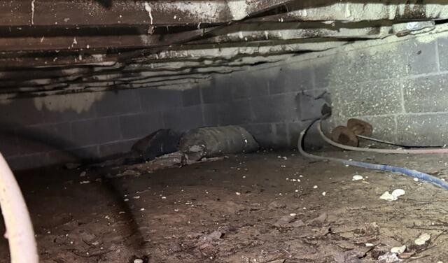 Musty & Humid Crawl Space Transformation in Sylvania, GA - Before Photo