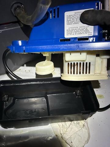 Annual Maintenance in Clyo, GA