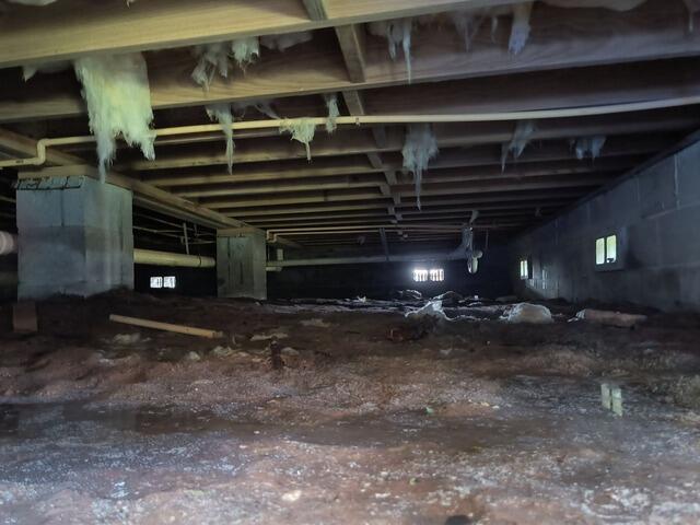 Crawlspace Transformation in Waverly, GA