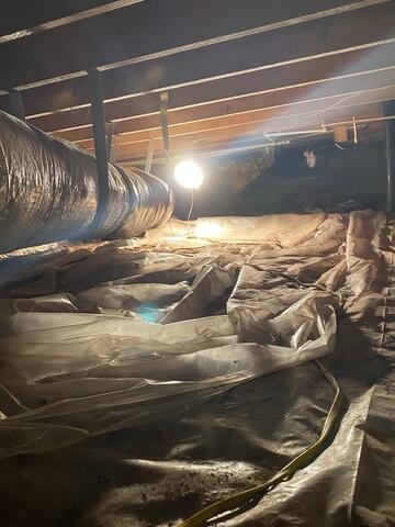 Crawlspace Transformation in West Point, GA