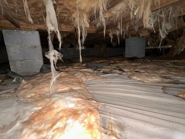 Crawlspace Transformation in Statesboro, GA