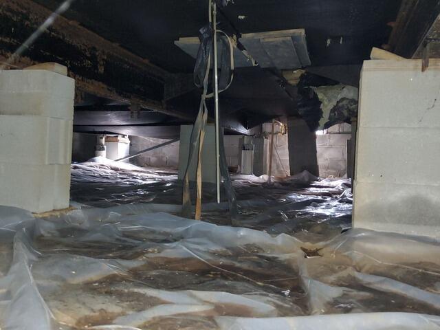 Crawlspace Transformation in Byron, GA - Before Photo