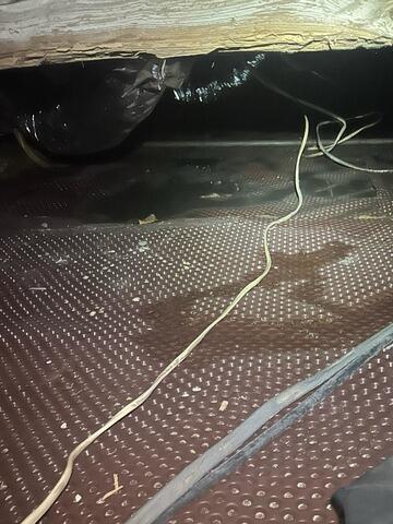 Water intrusion Solved in Midway, GA - Before Photo