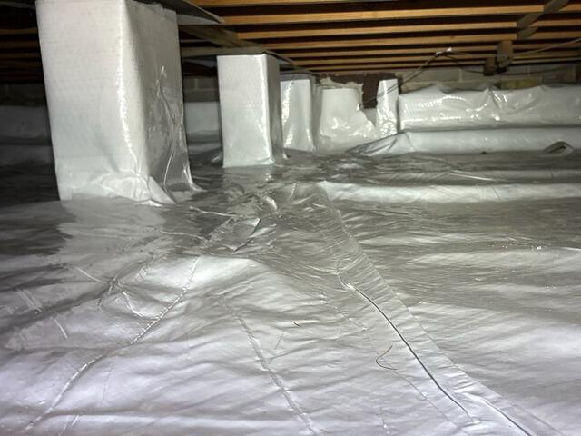 Crawlspace Transformation in Portal, GA