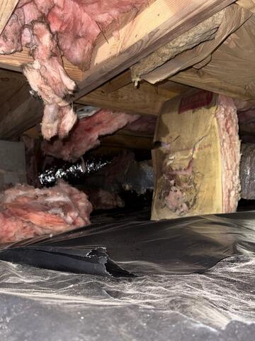 Crawlspace Transformation in Portal, GA
