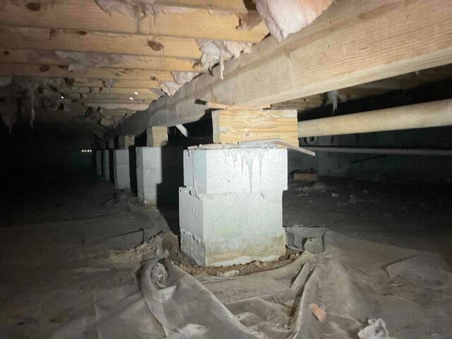 Crawlspace Transformation in Brunswick, GA