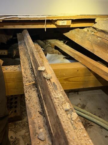 Subfloor and Joist Replacement in Ludowici, GA
