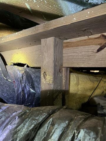 Complete Crawlspace Transformation on Saint Helena Island, SC - Before Photo