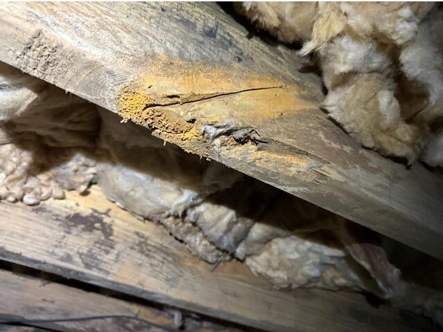 Unstable Floor Secured on Hilton Head Island, SC - Before Photo