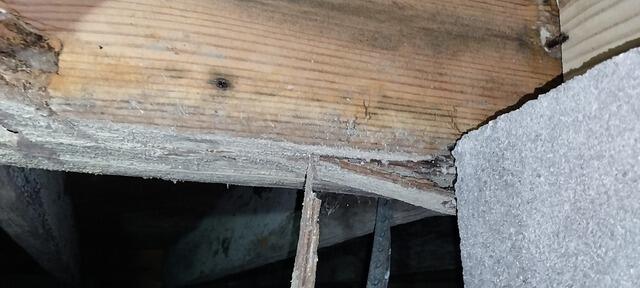 Wood Repair in Crawl Space on Johns Island, SC - Before Photo