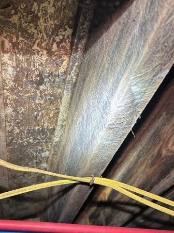 Wood Repair in Crawl Space on Tybee Island, GA - Before Photo