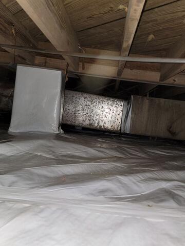 Cleanspace Encapsulation in Glennville, GA - After Photo