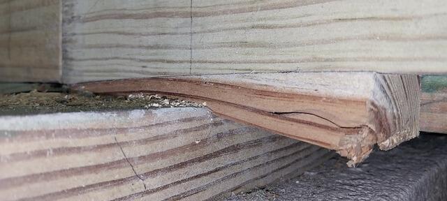 Weakened Floors Fortified on Hilton Head Island, SC - Before Photo