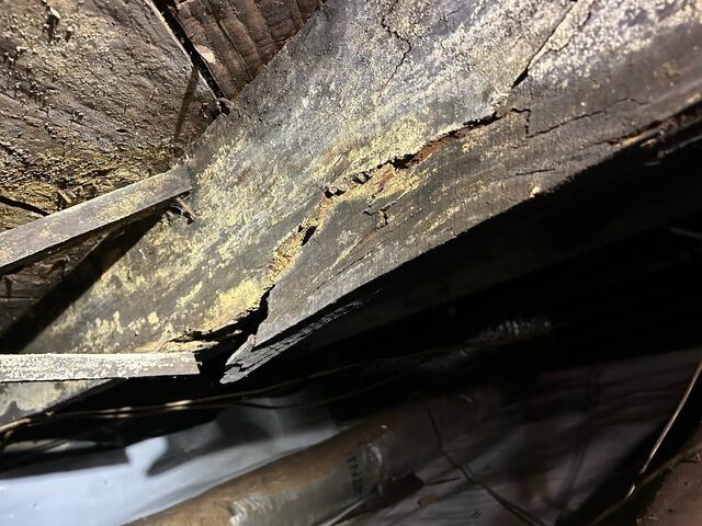 Floor Joist Repair in Hollywood, SC